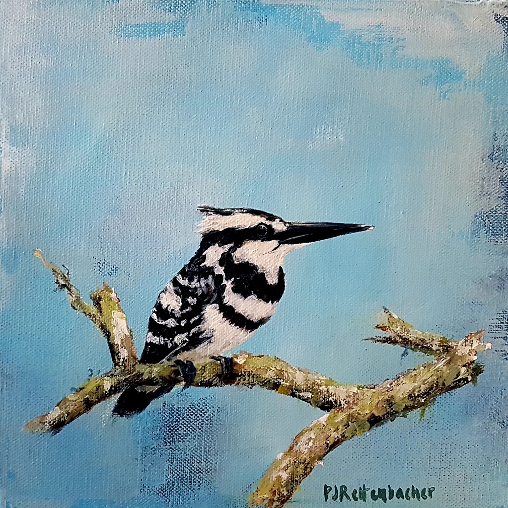 Kingfisher 2
